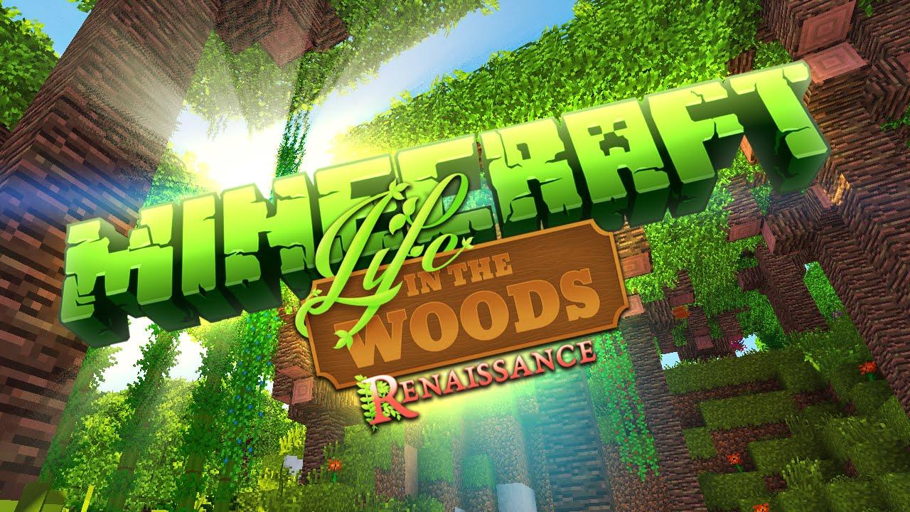 Life in the Woods