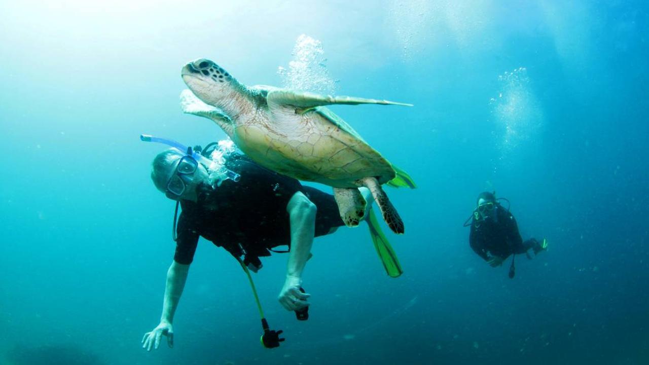 Martin Clunes: Islands of Australia