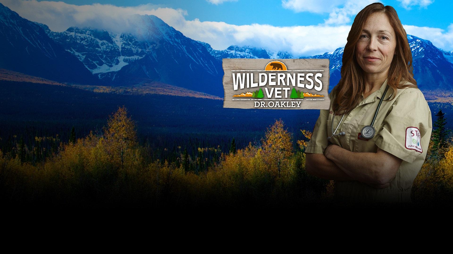 Wilderness Vet