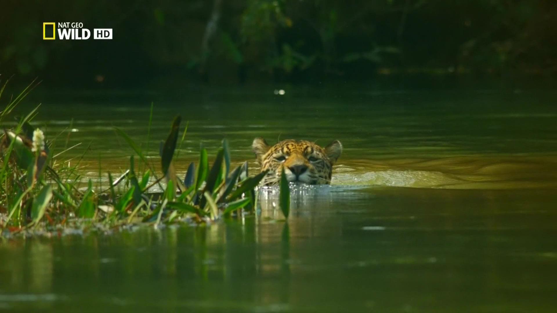 Destination Wild: Colombia