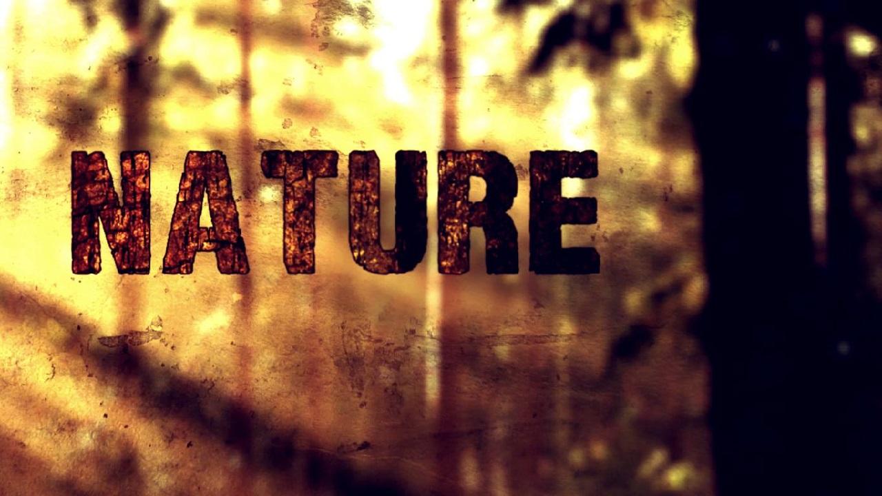Nature (2015)