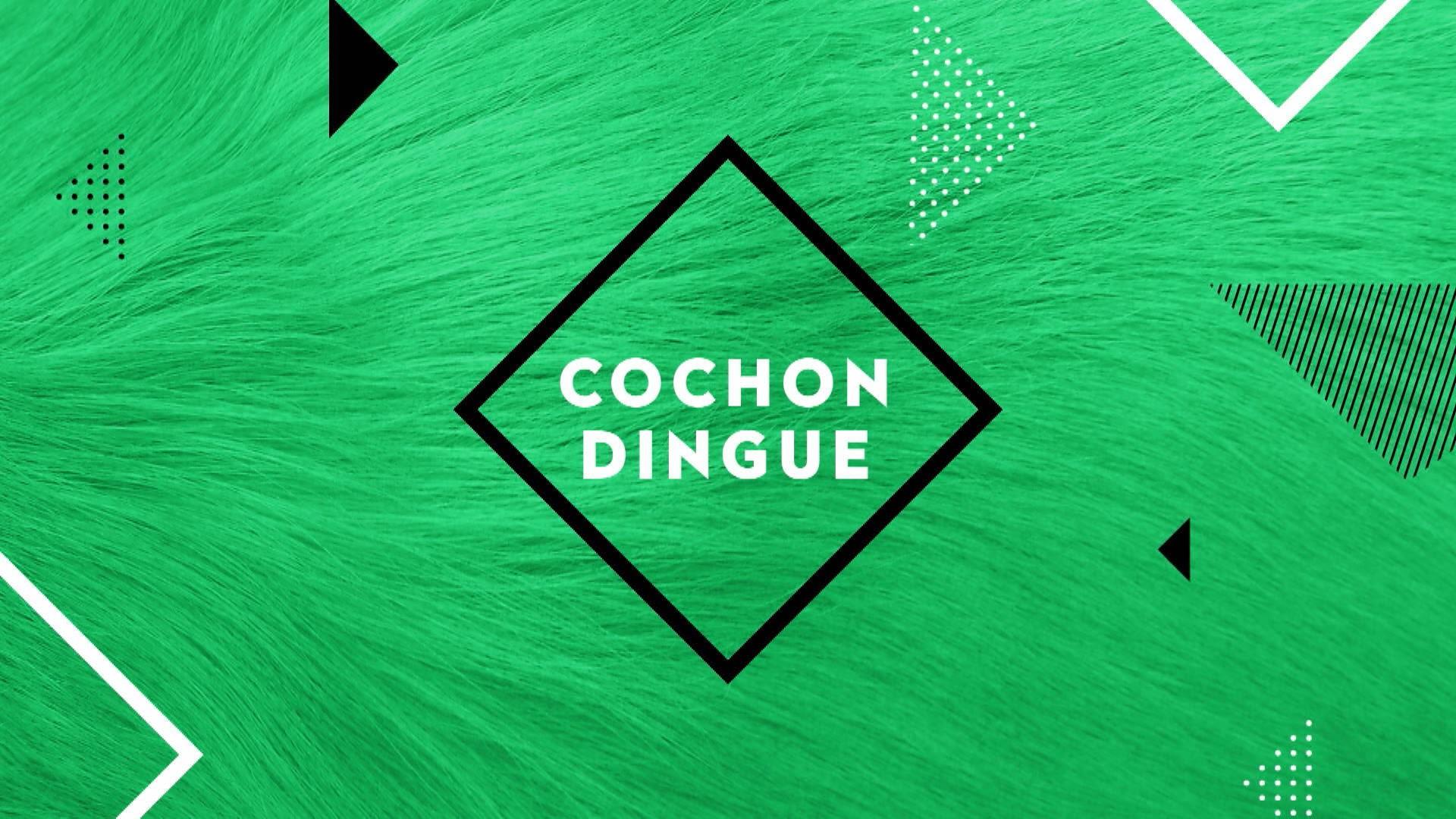 Cochon Dingue