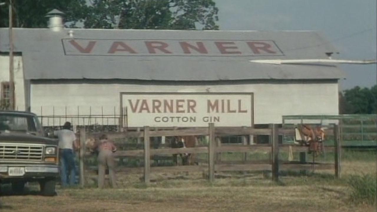 El largo y cálido verano