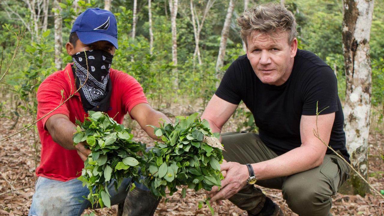 Gordon Ramsay on Cocaine