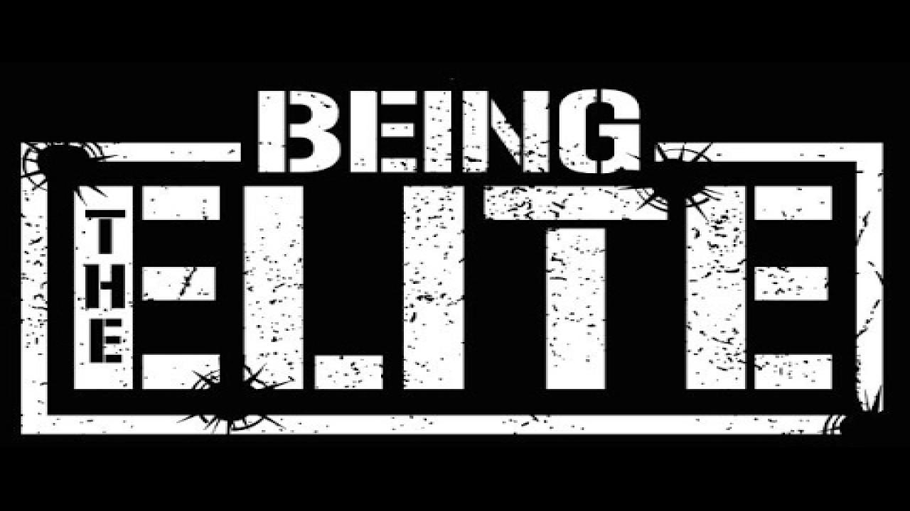Being The Elite