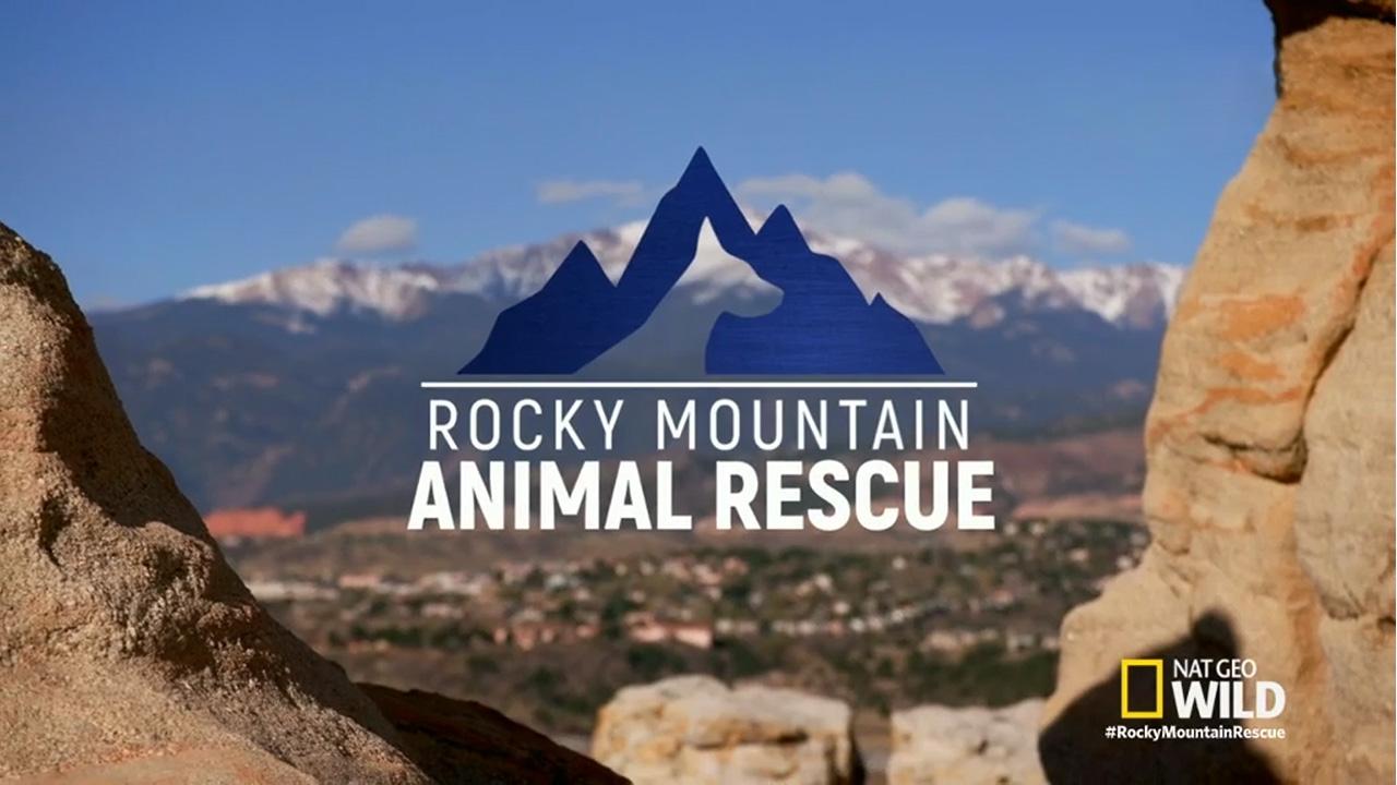 Rocky Mountain Animal Rescue