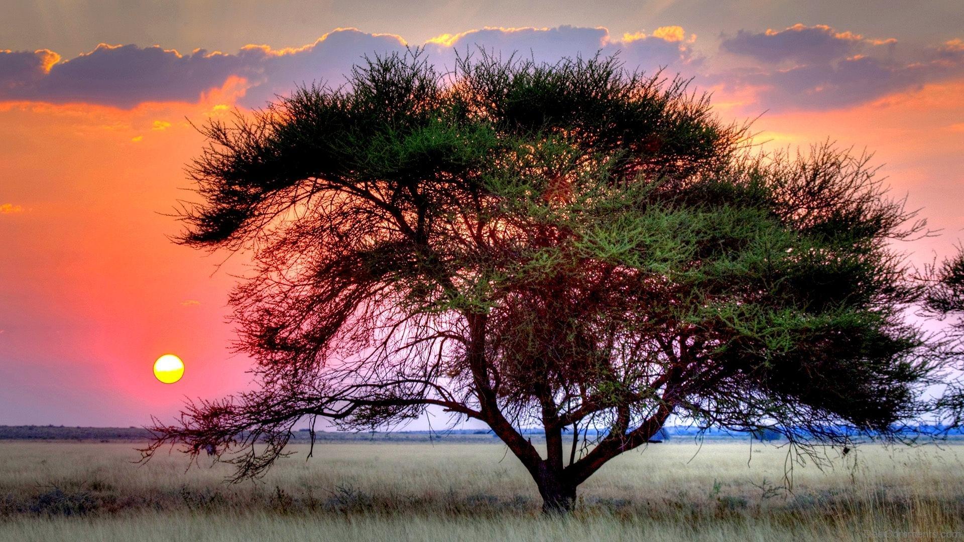 Kalahari