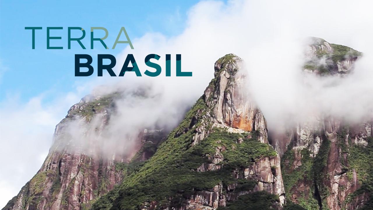 Terra Brazil - Guides