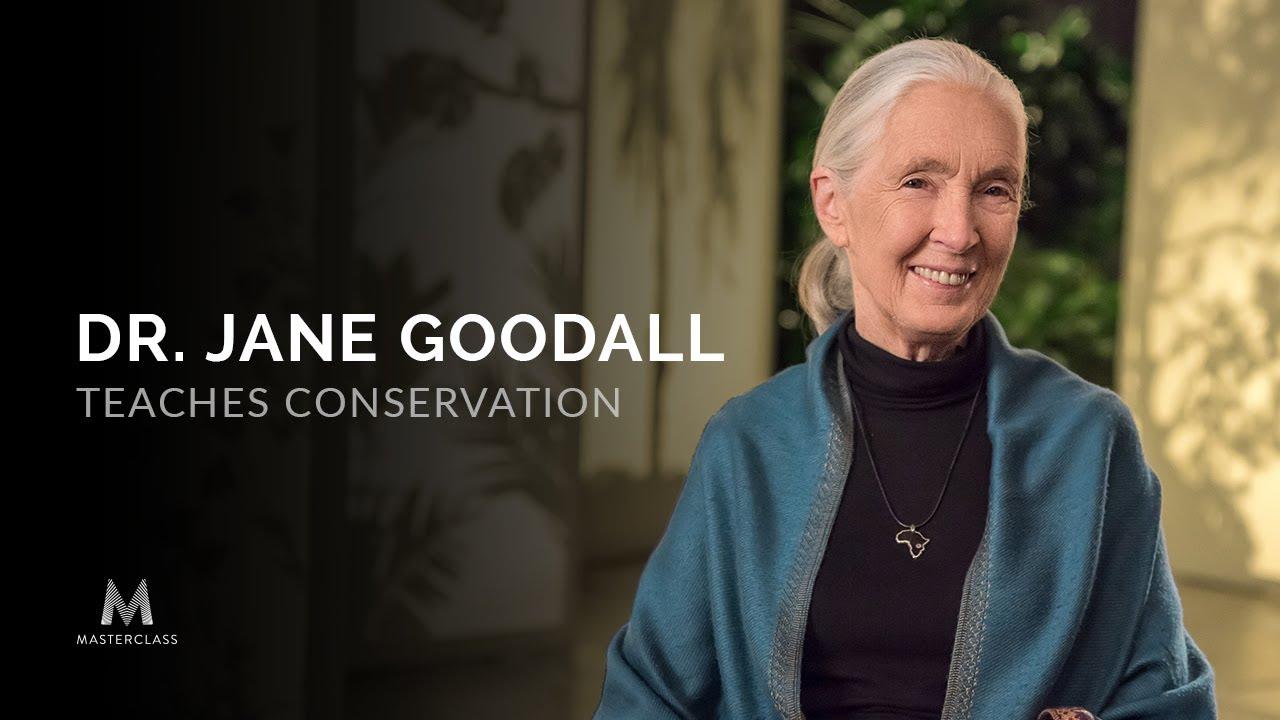 MasterClass: Dr. Jane Goodall Teaches Conservation