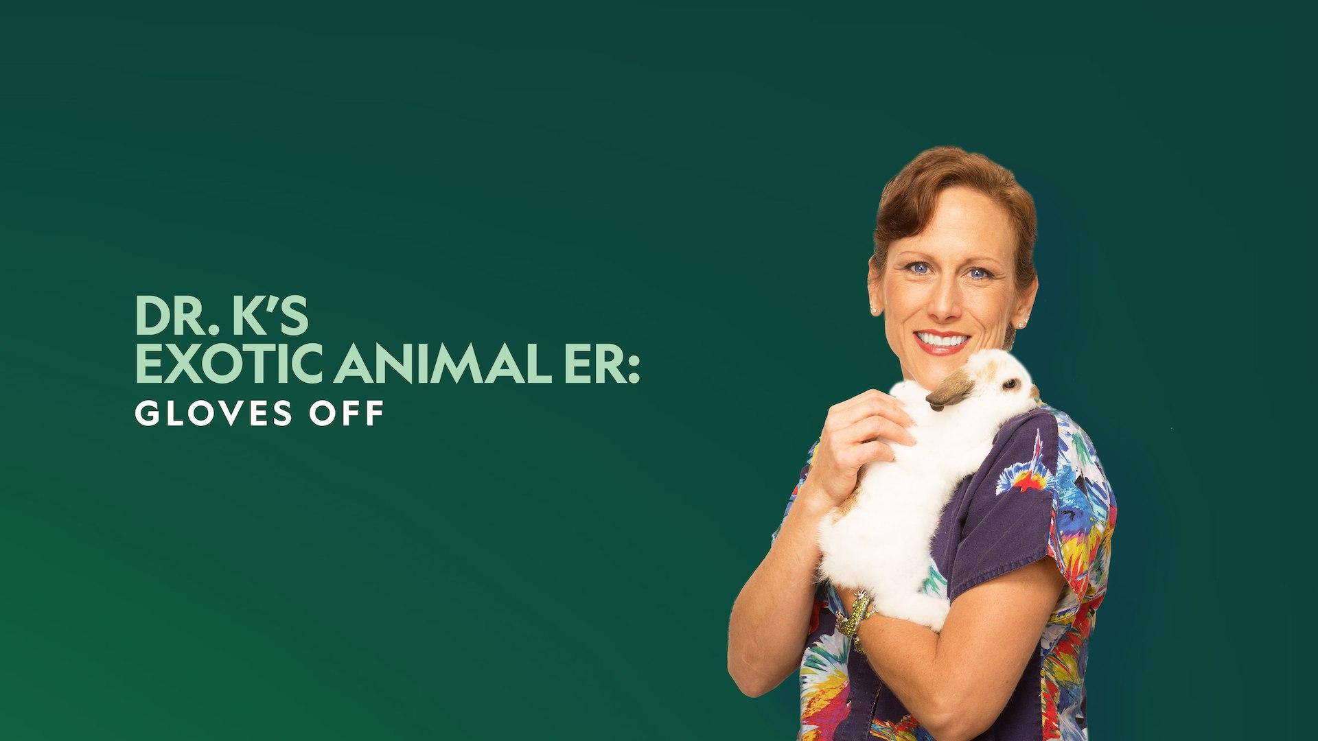 Dr. K's Exotic Animal ER: Gloves Off!