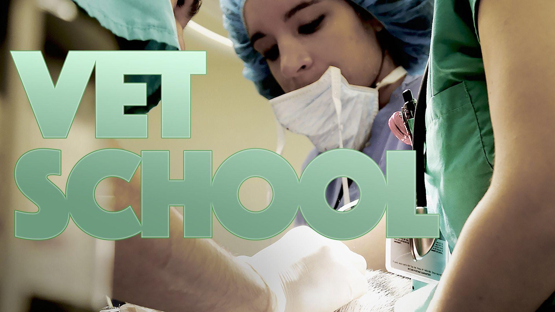 Vet School (2015)