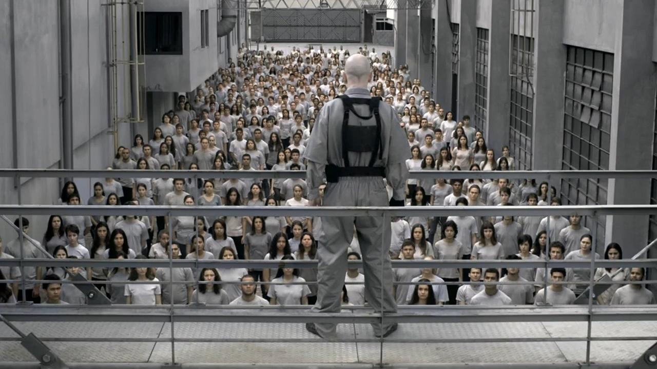 3% (2011)
