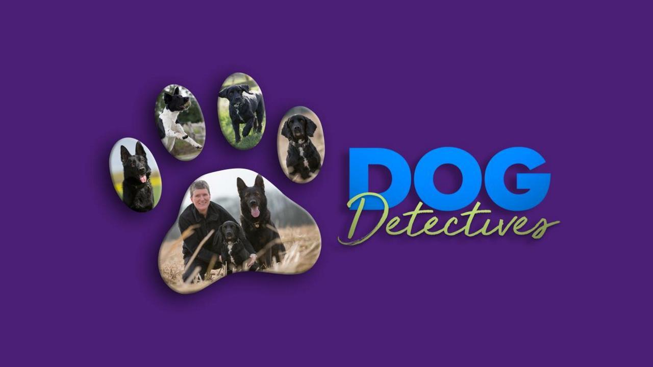 Dog Detectives