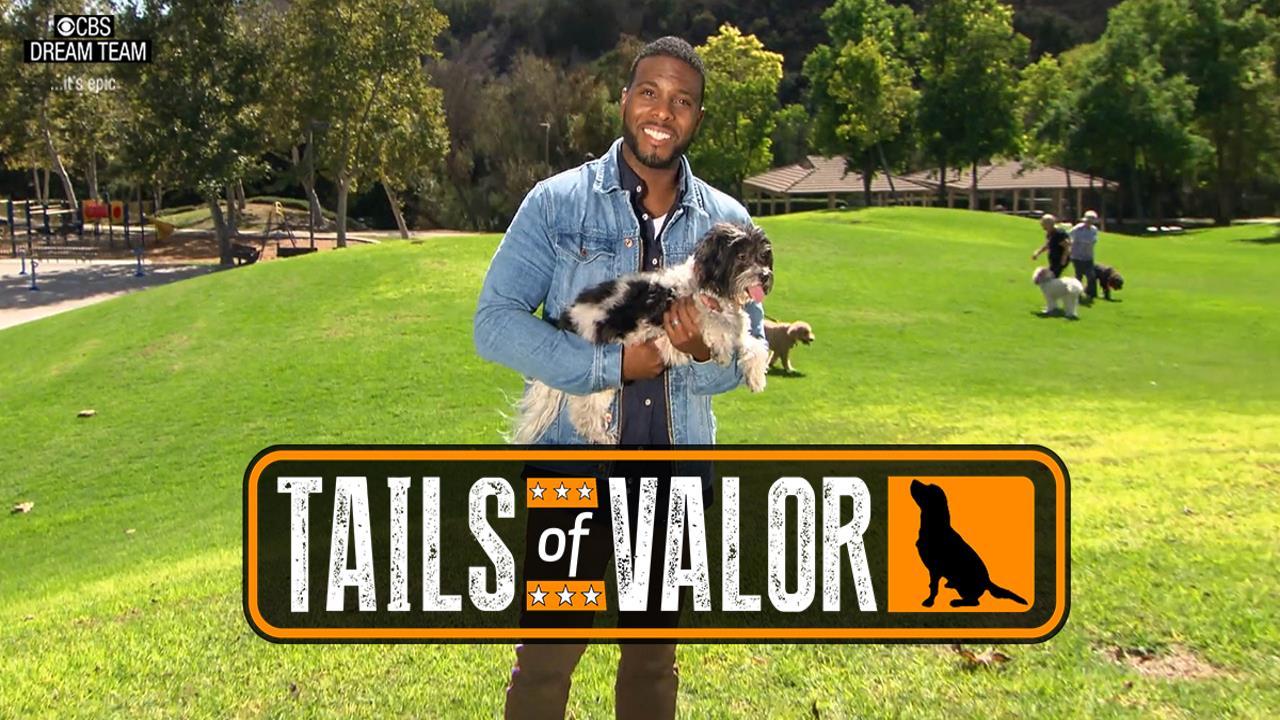 Tails of Valor