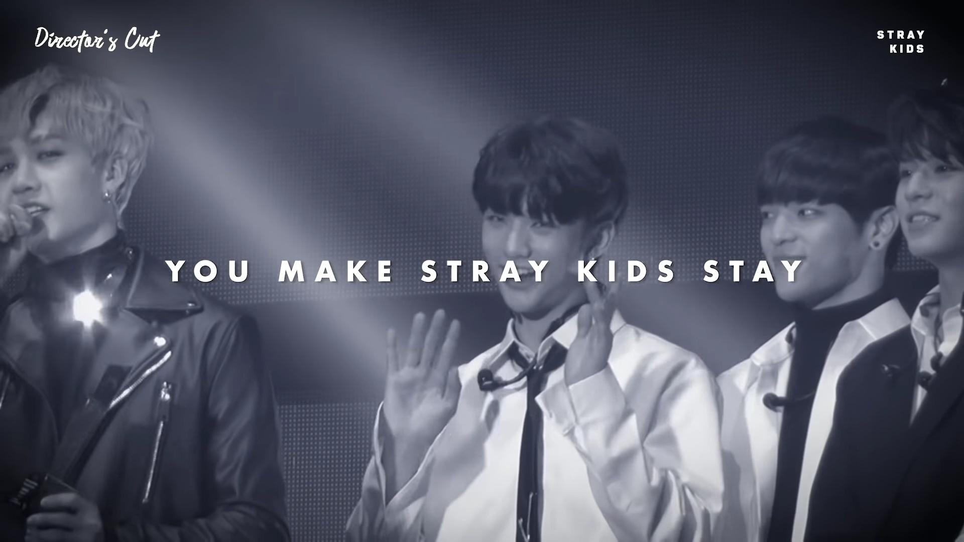 Stray Kids: Director's Cut