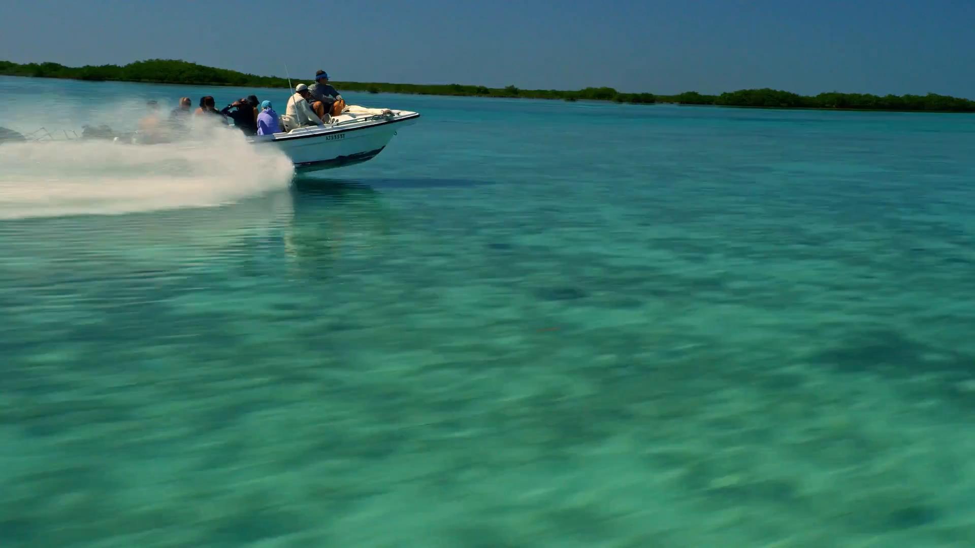 Cuba: A Paradise on the Brink