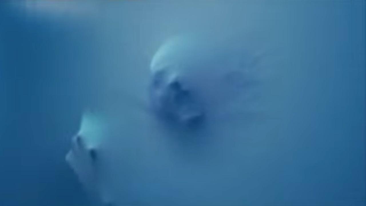 True Horror