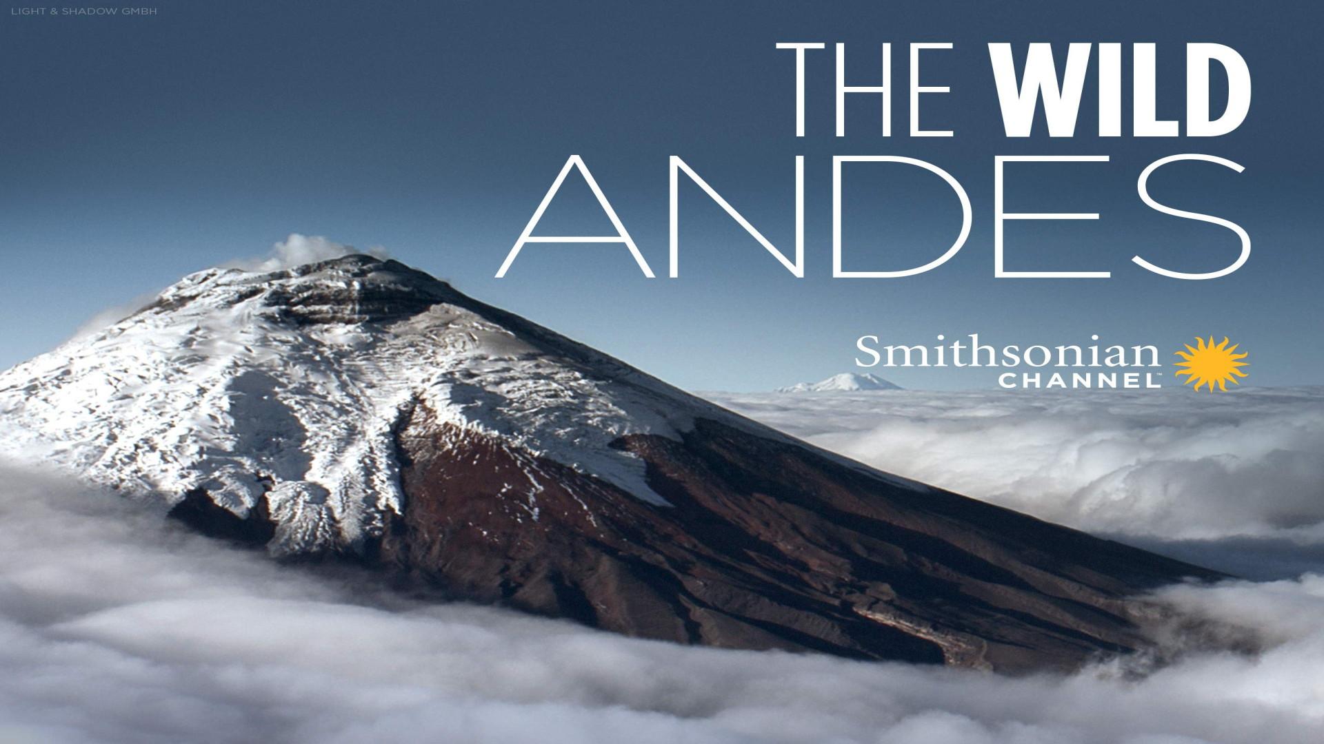 The Wild Andes