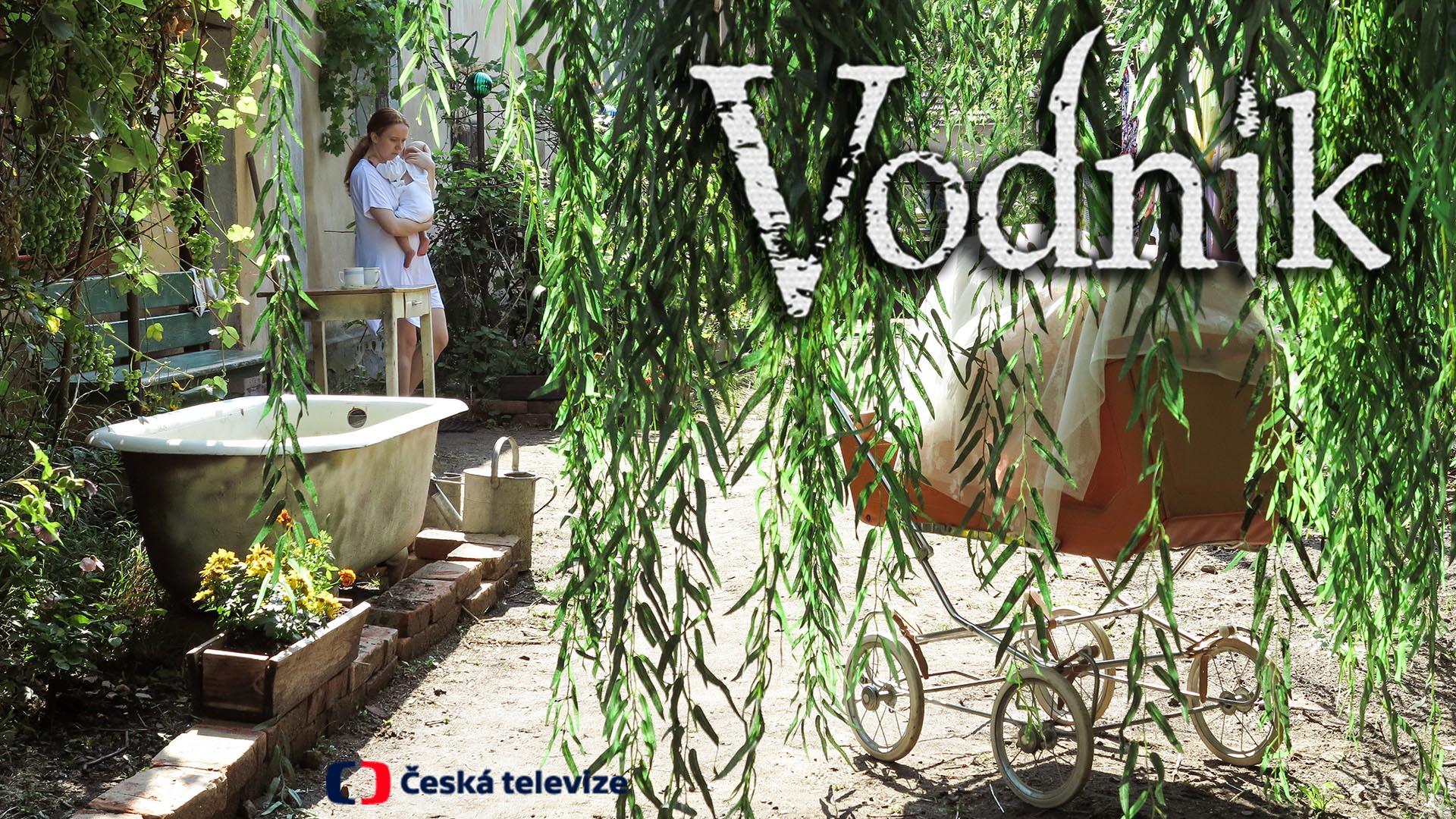Vodník