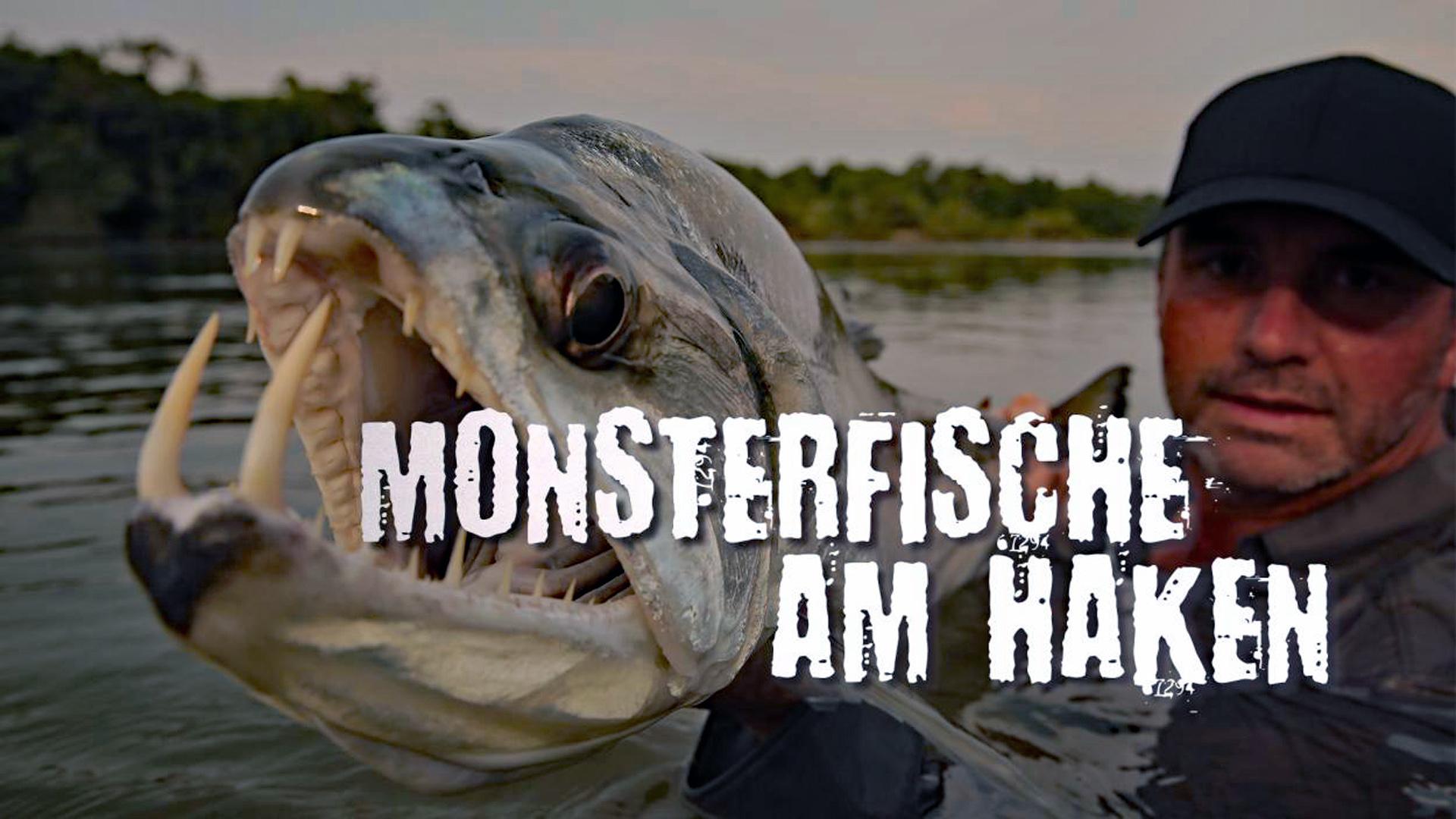 Chasing Monsters