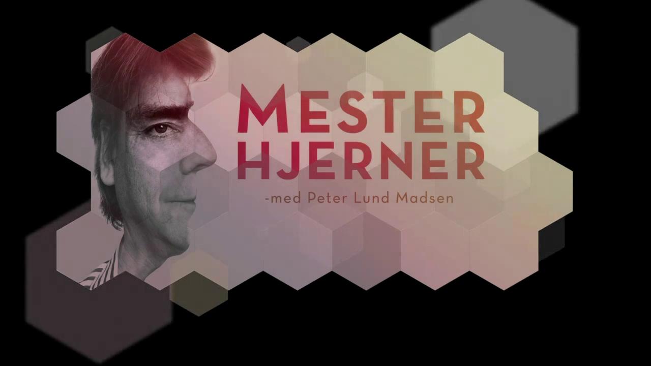 Mesterhjerner
