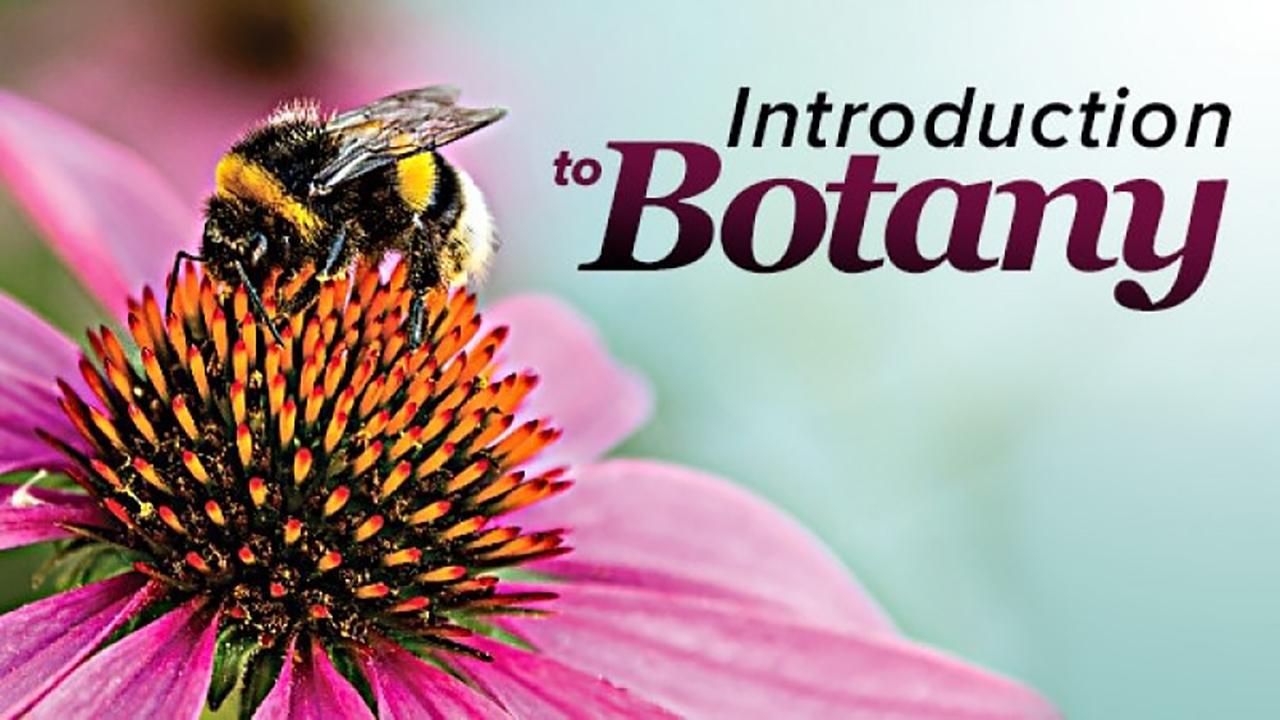Plant Science An Introduction to Botany