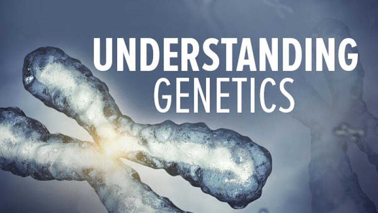 Understanding Genetics DNA, Genes, and Their Real World Applications