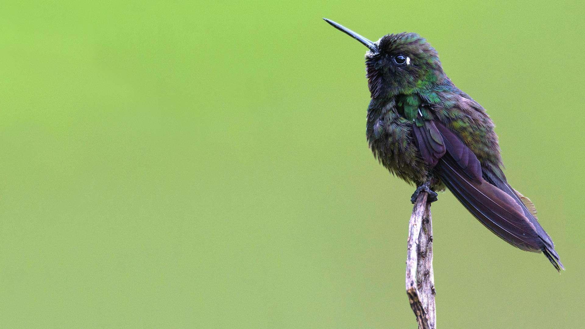 Into the Wild Colombia