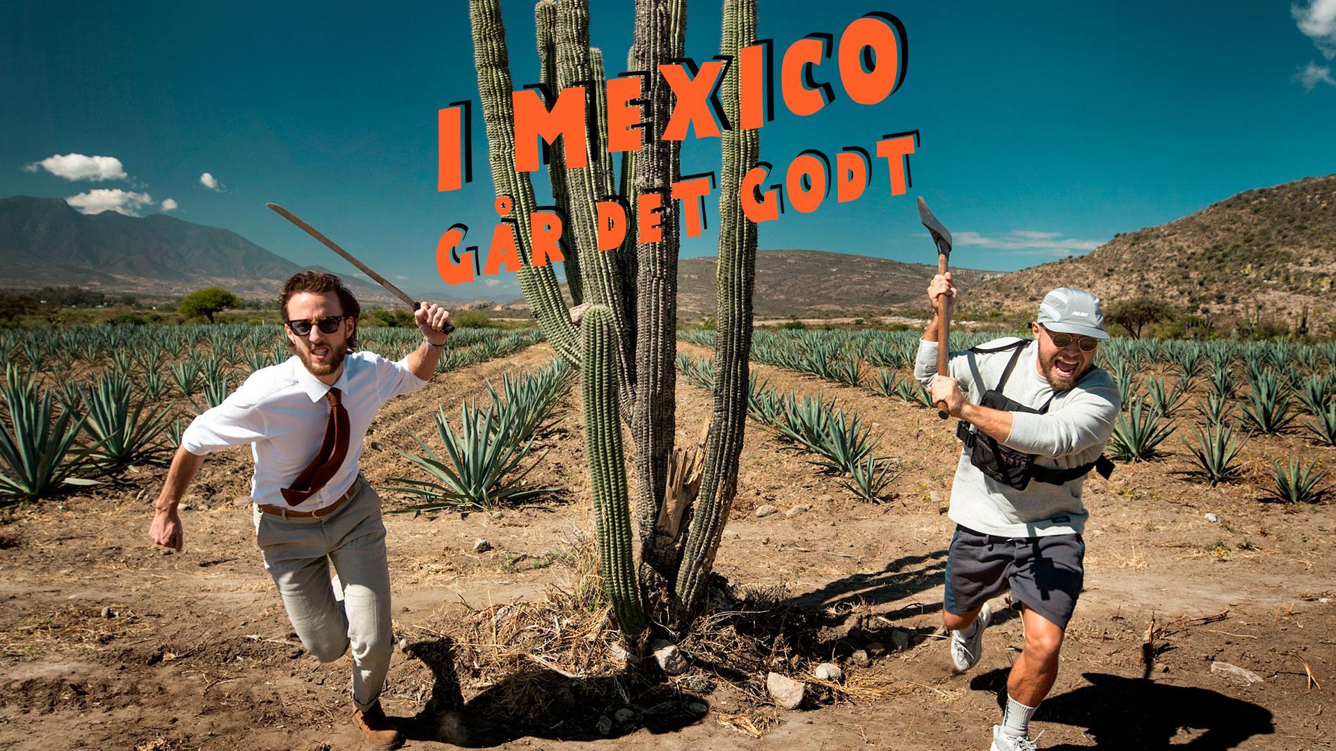 I Mexico Går Det Godt