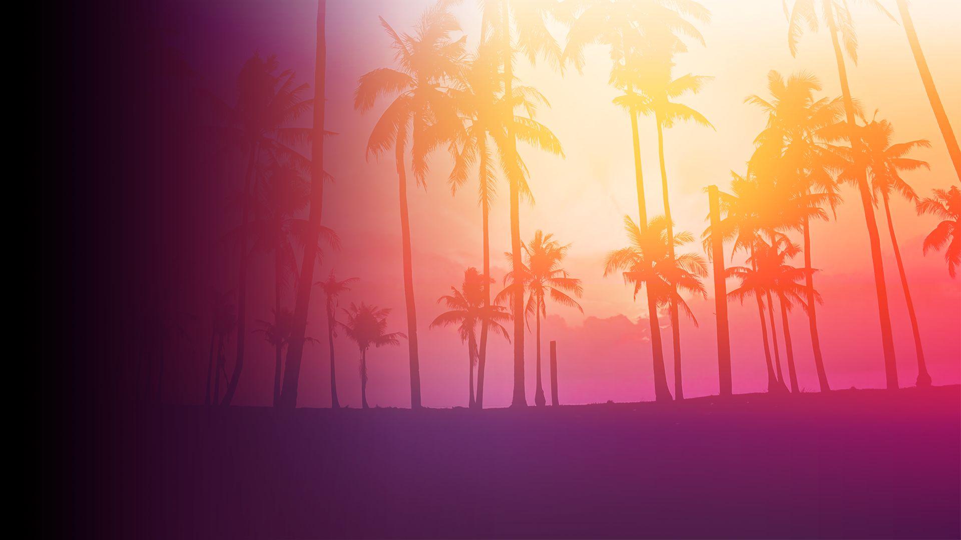 Follow Me, 7 it-girls à Coachella