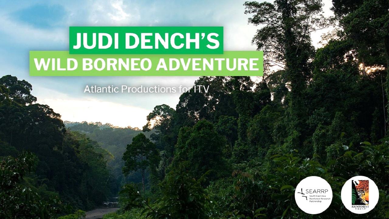 Judi Dench's Wild Borneo Adventure