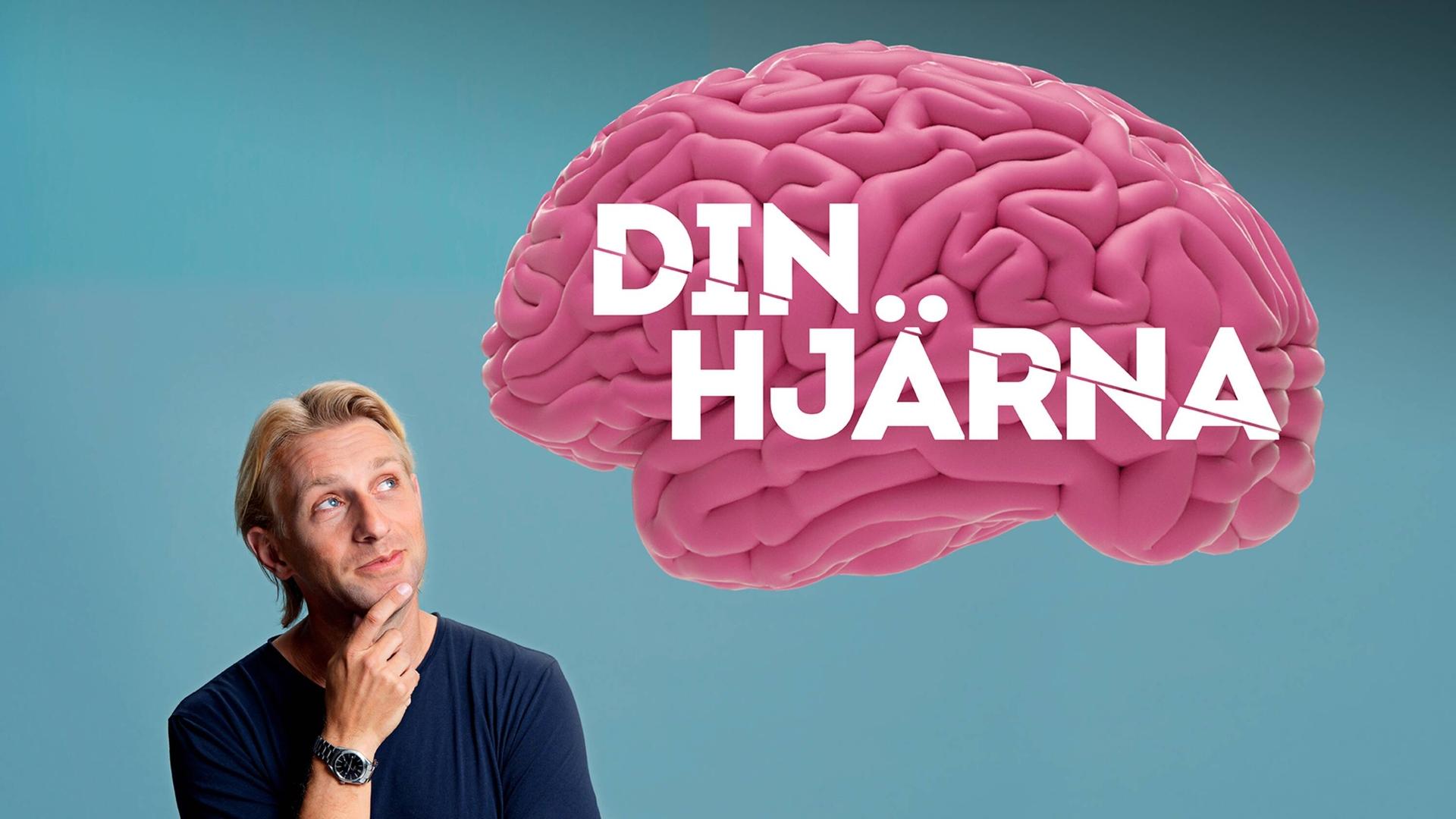 Your Brain
