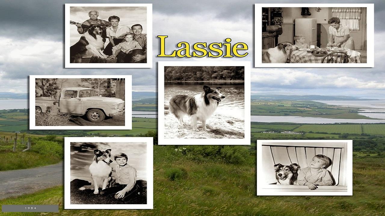 Lassie