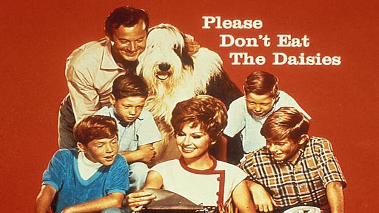 Please Don't Eat the Daisies
