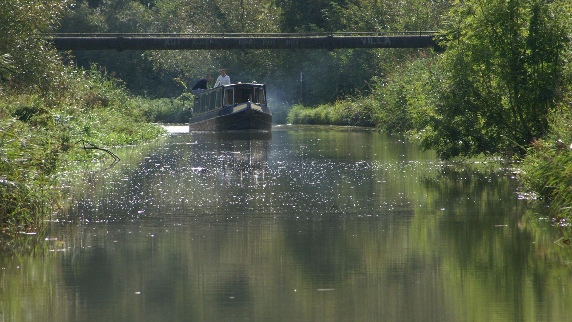 The River