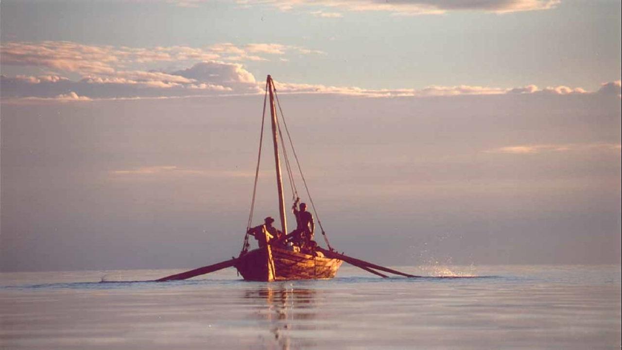 Quest for the Bay