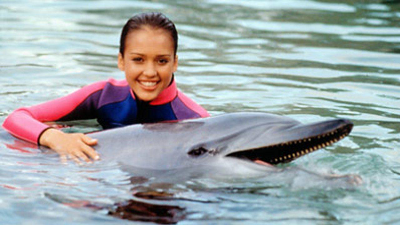 Flipper (1995)