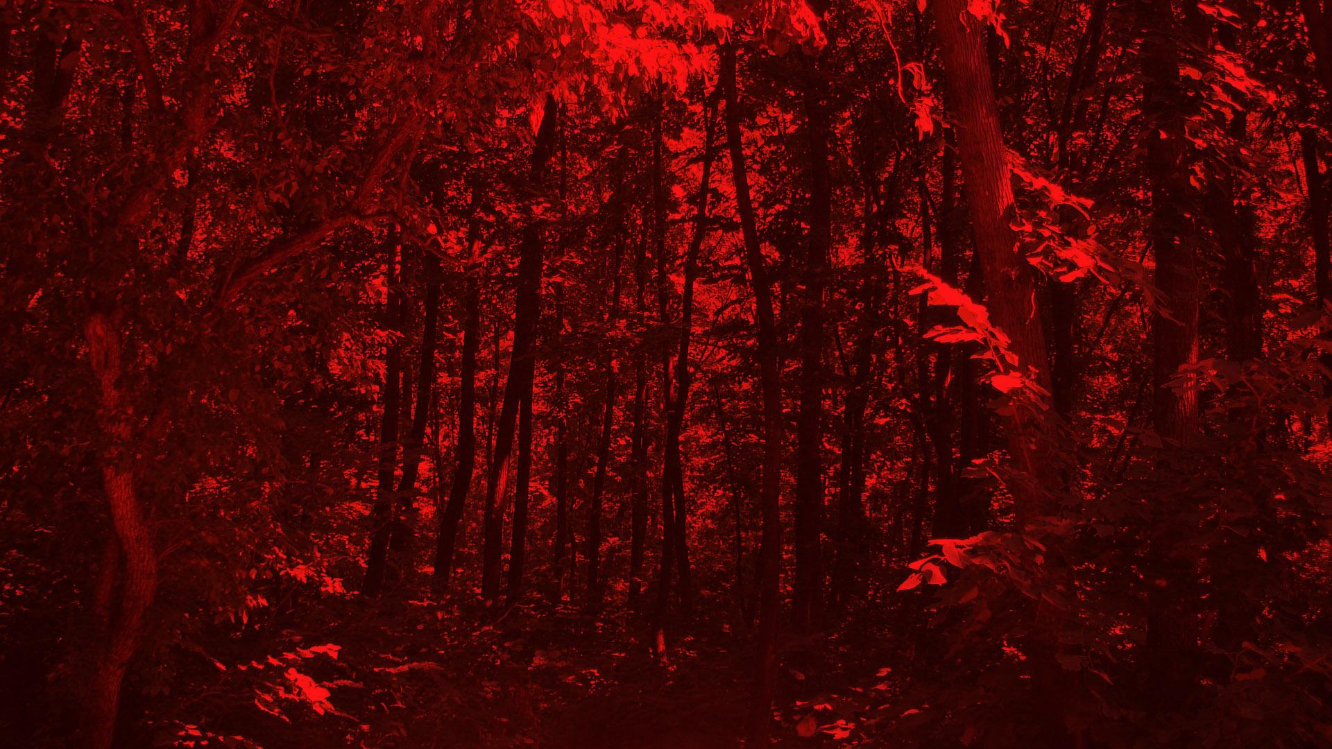 Predators