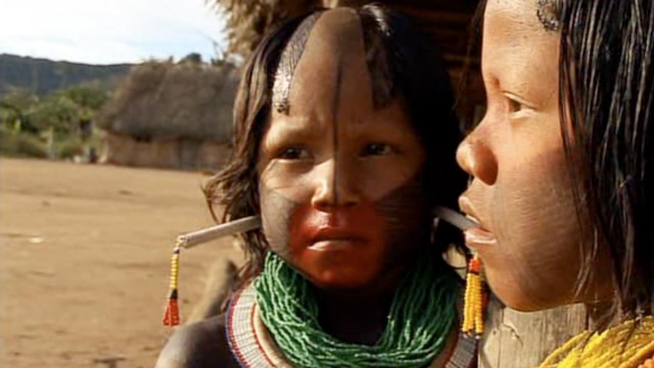 Tribe