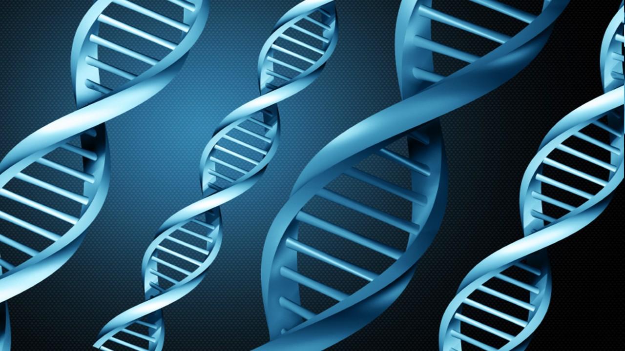DNA