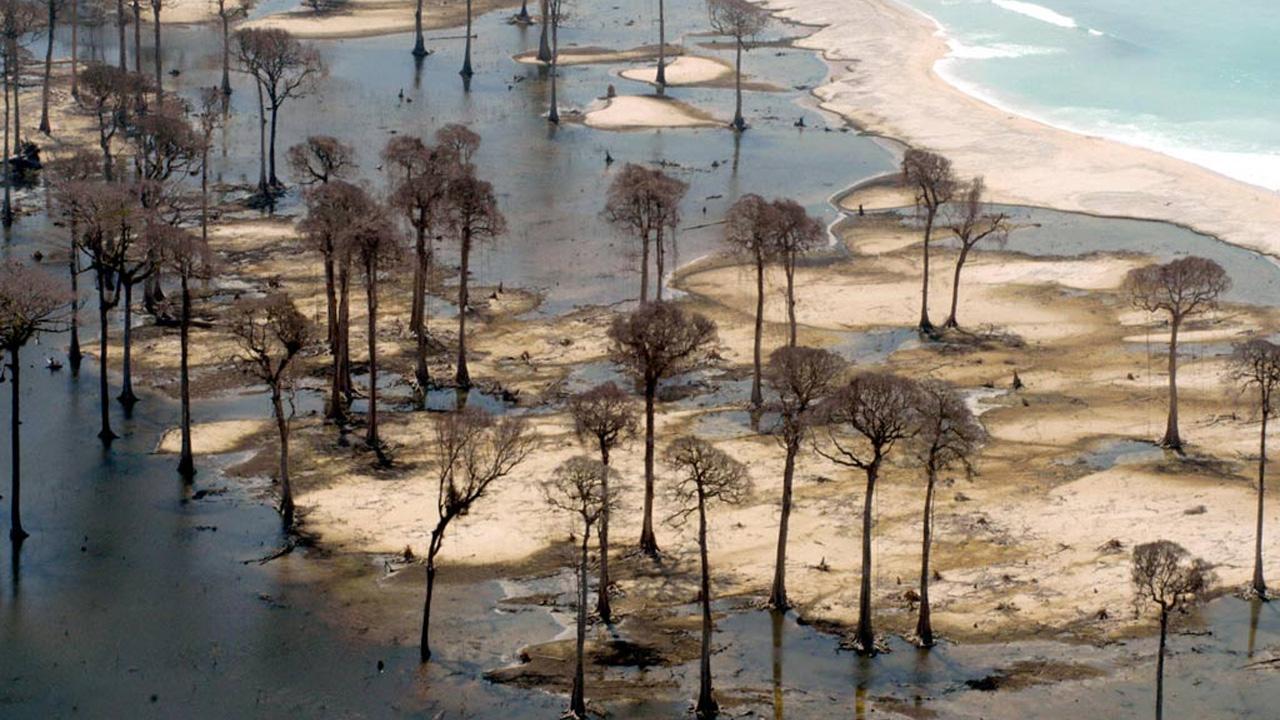 Tsunami: The Aftermath