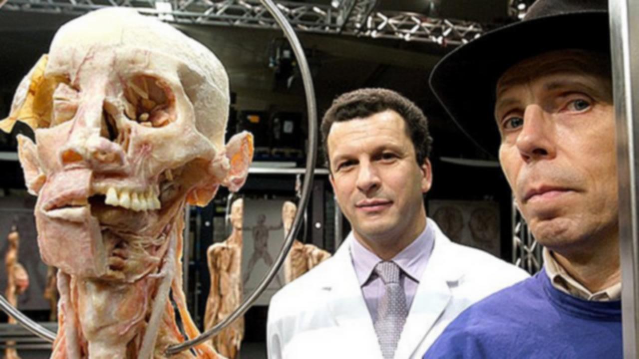 Anatomy for Beginners