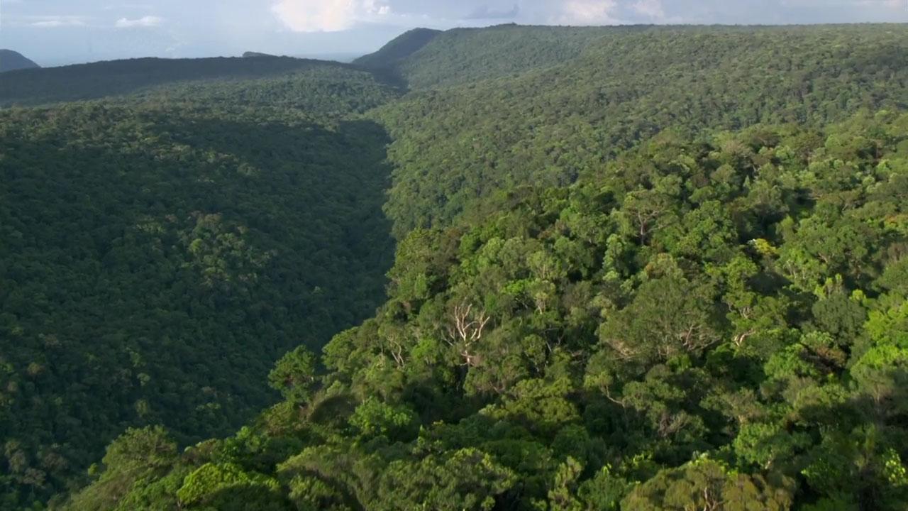 Lost Land of the Jaguar