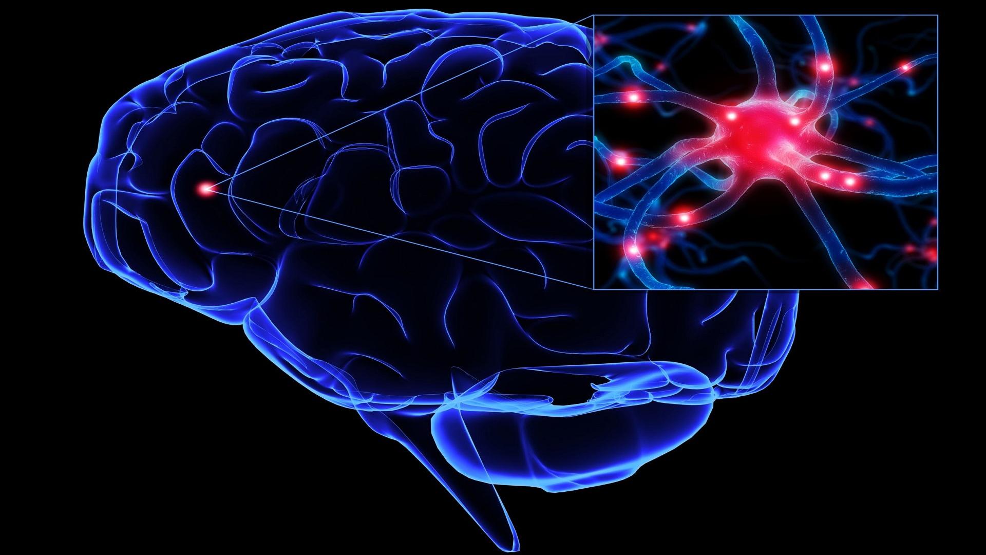 My Brilliant Brain