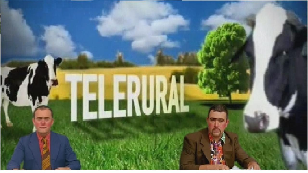 Telerural