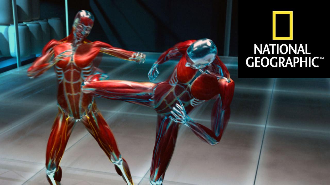 National Geographic Martial Arts