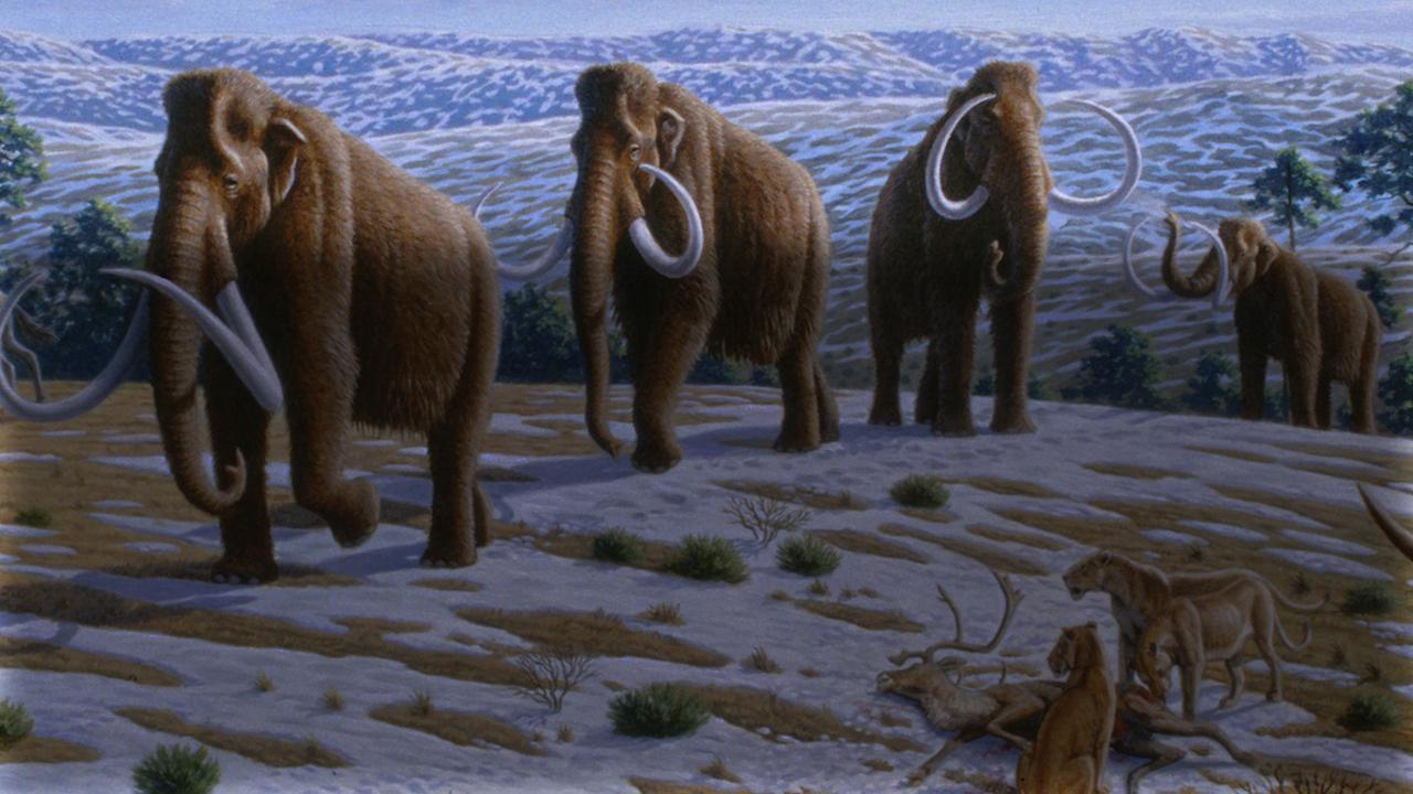 Prehistoric America