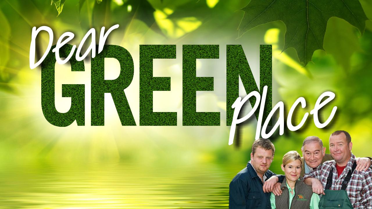 Dear Green Place