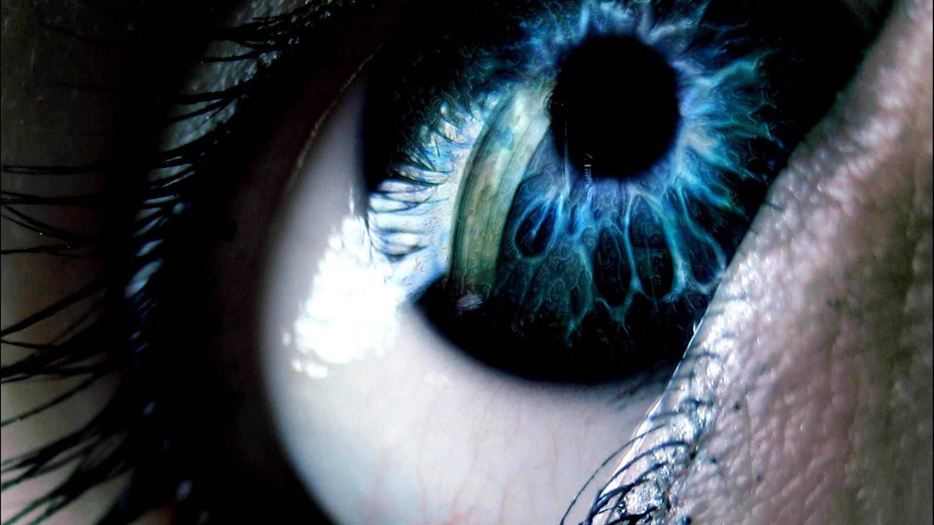 Human Senses