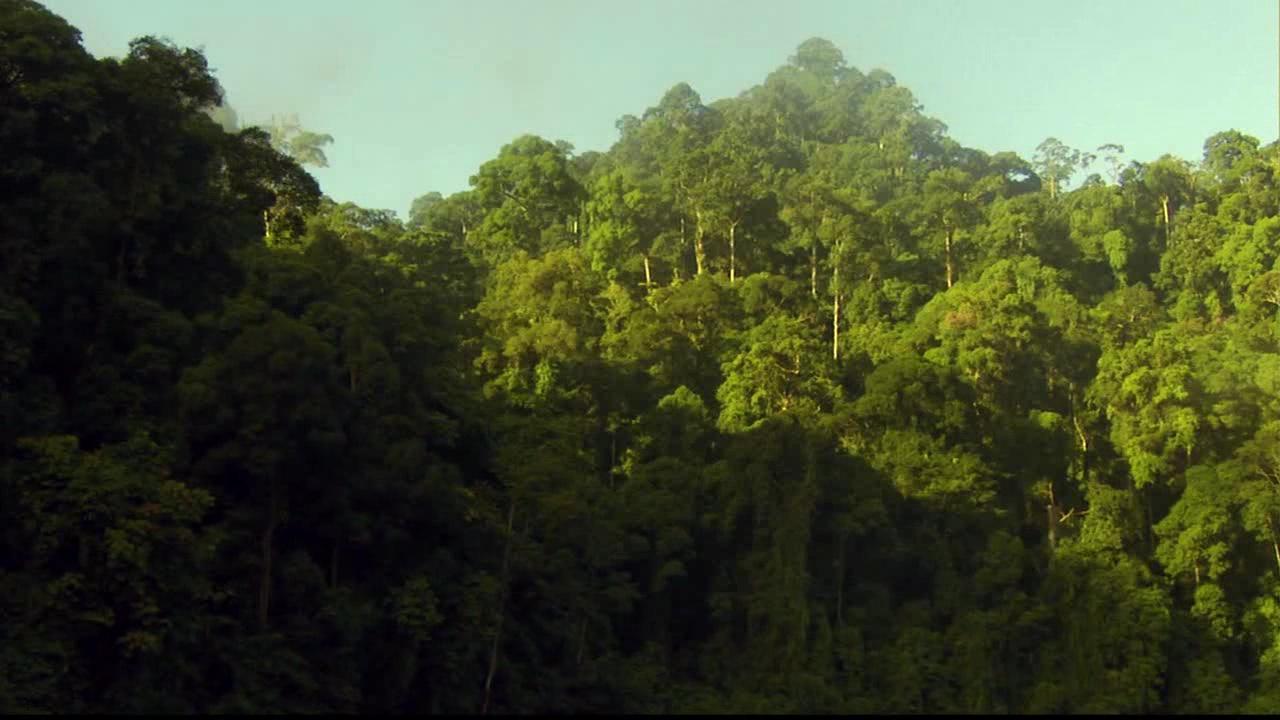 Discovery Channel: Equator